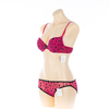 Damen-BH- und Slip-Set (JMC25072)