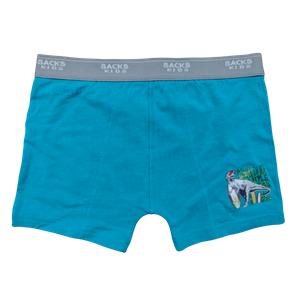 Ko te Tamariki Dino Dude Surf-Style Trunk a OEM Boy